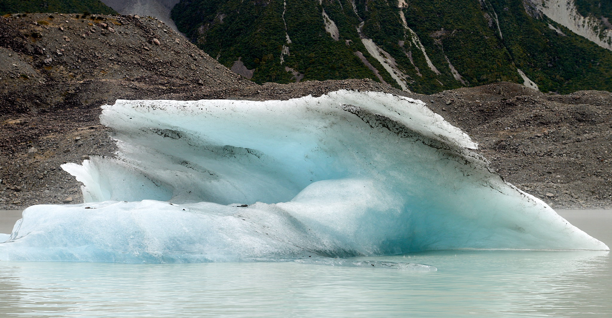 20180126 026 뉴질랜드 타즈만호 빙하